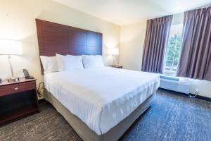 cobblestone inn and suites winters
