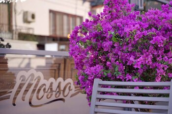 mosso boutique hotel