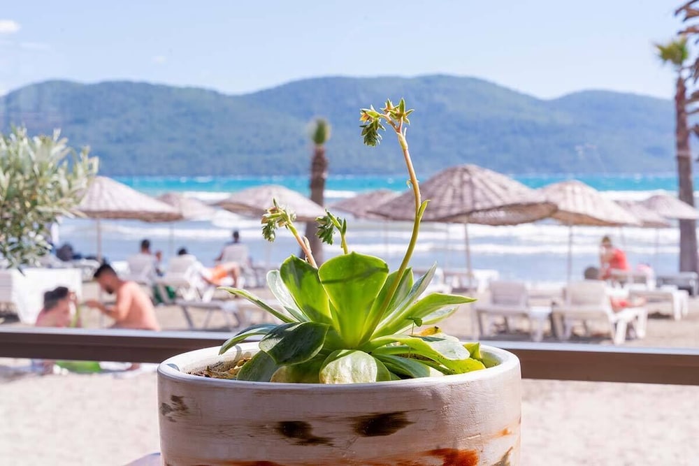 mosso boutique hotel