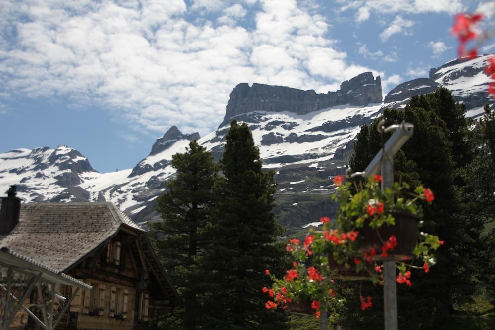hotel and restaurant alpenrose