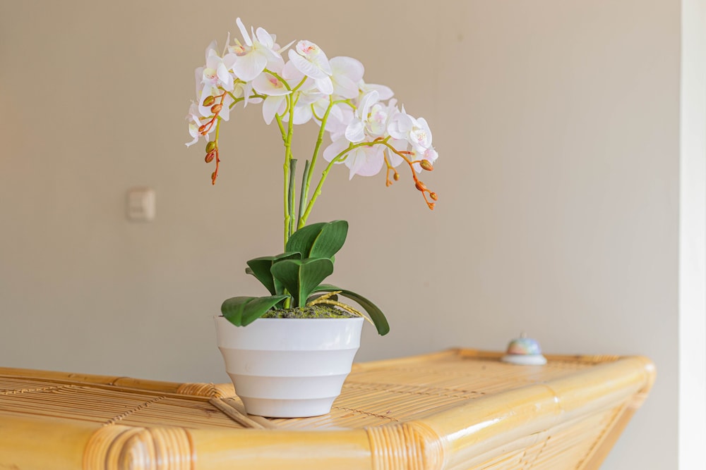 candra loka studio and apartment by the loka