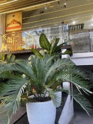 anaya retreat adults only