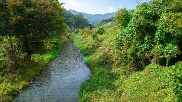 gapyeong orion poolvilla pension