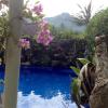 villa tenganan kura kura villas candidasa bali