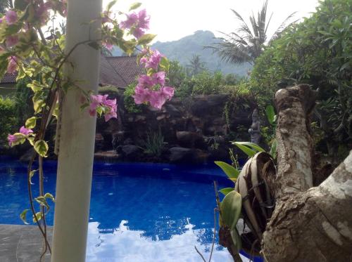 villa tenganan kura kura villas candidasa bali
