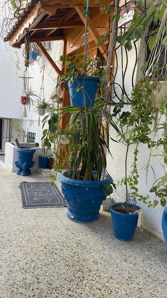 casa zitouna