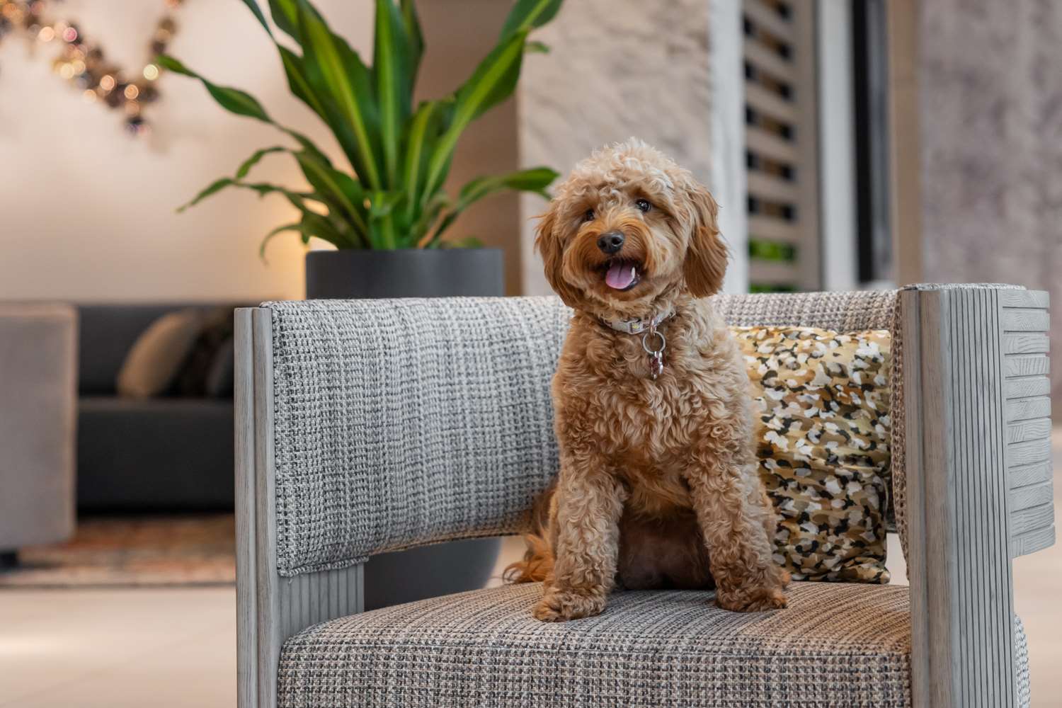 hilton garden inn grand prairie at epiccentral