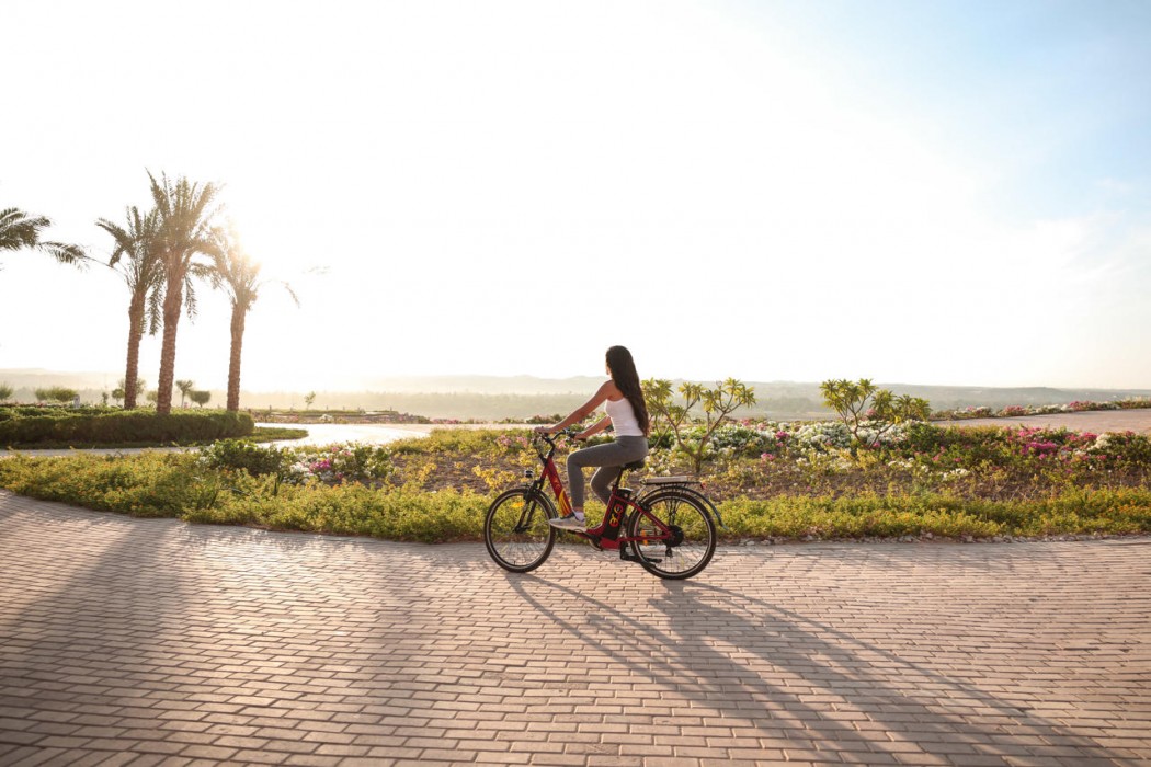 the zen wellness resort
