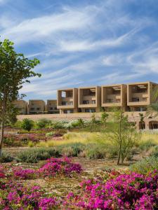 the zen wellness resort