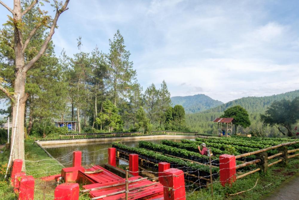 hilltop camp lembang by twospaces