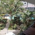 v beach resort