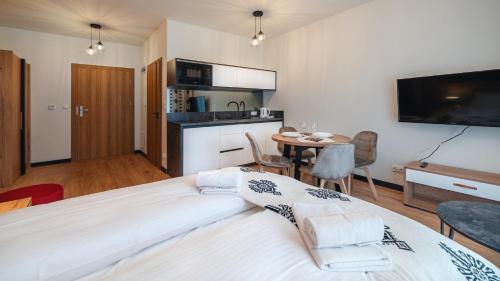 apartamenty sun and snow ski apartments