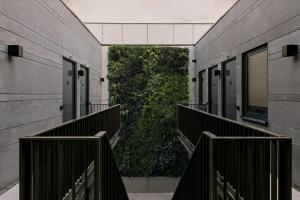 Sonder Rose,Netherlands>>Rotterdam,0 star