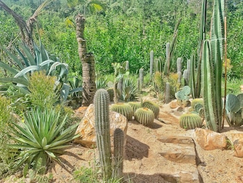 la sera suites an vien