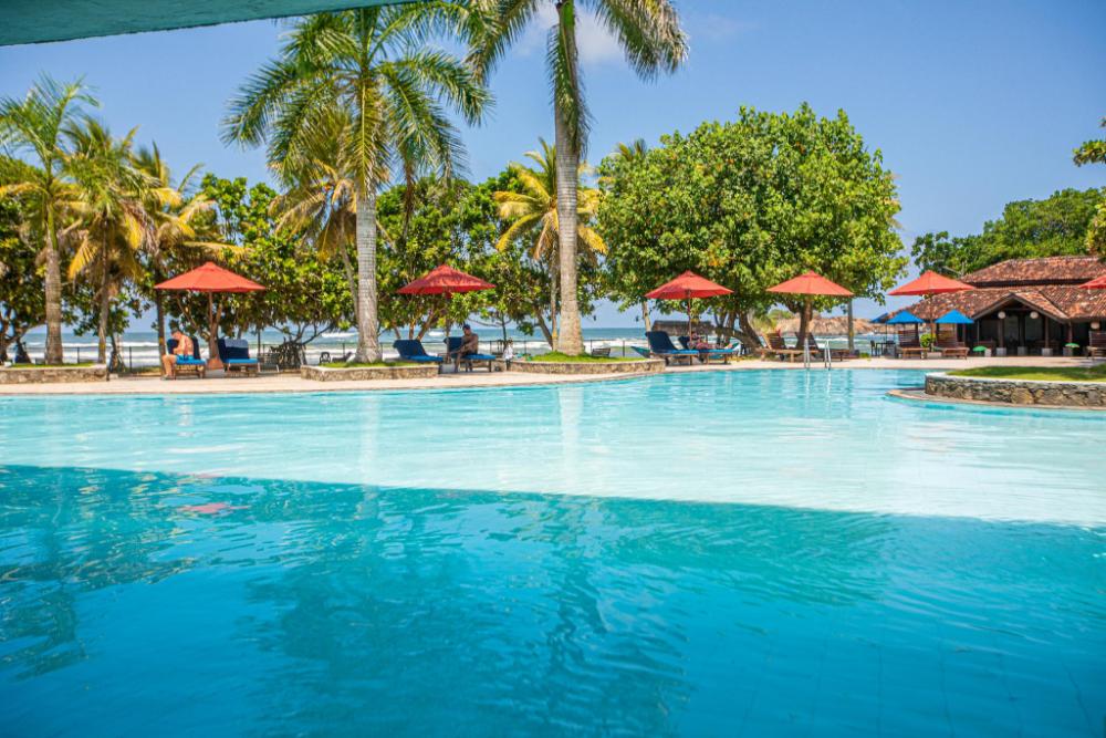 the palms