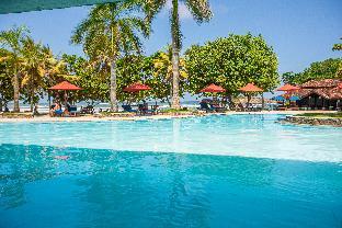 the palms
