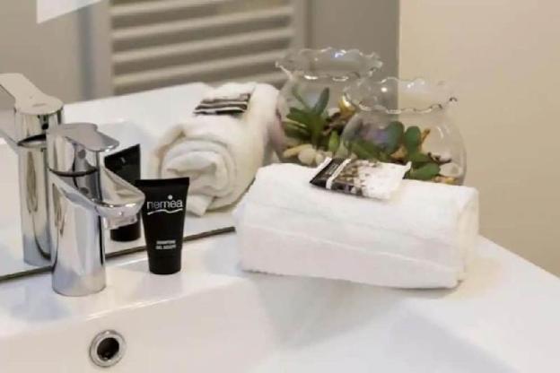 nemea apparthotel nancy grand coeur