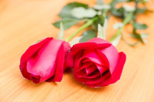 the garden place bangkok ngamwongwan