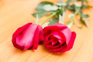 the garden place bangkok ngamwongwan