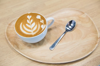 shade house bitec bangna