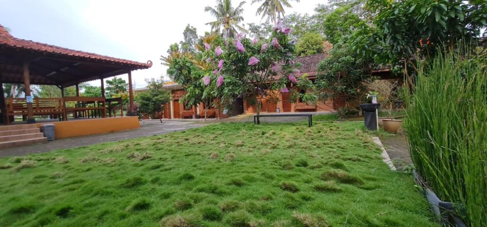 anugrah borobudur cottage