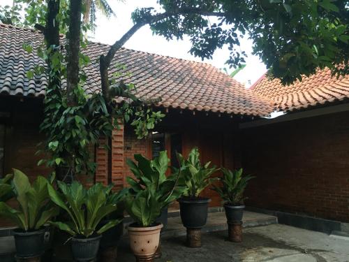 anugrah borobudur cottage