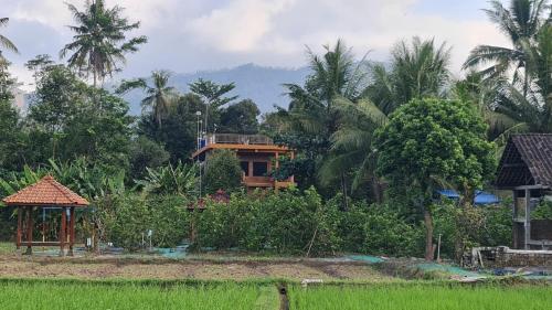 anugrah borobudur cottage