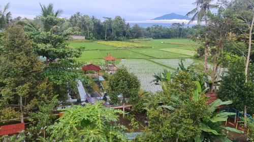 anugrah borobudur cottage