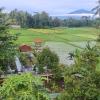 anugrah borobudur cottage