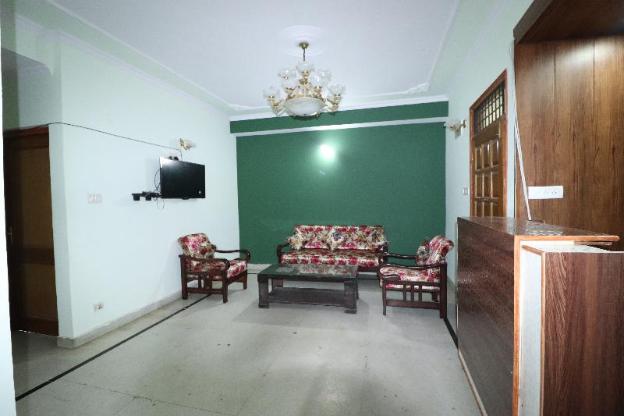 shimla hives natures sprout