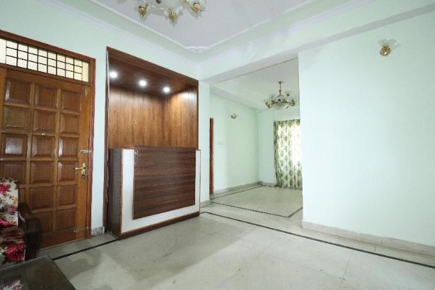 shimla hives natures sprout