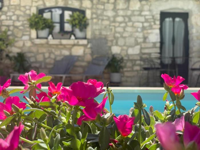 maison dhotes payan champier