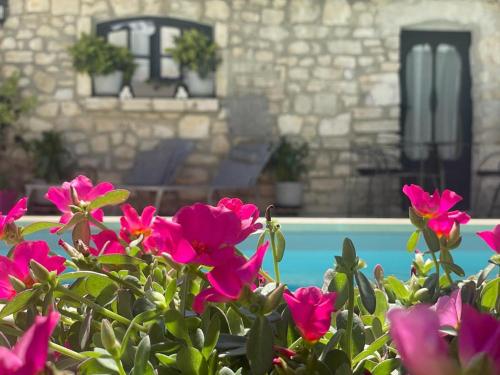 maison dhotes payan champier