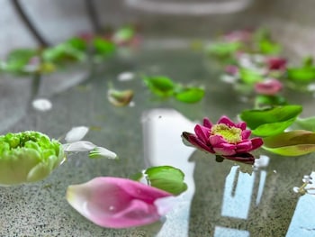 palmery boutique and spa