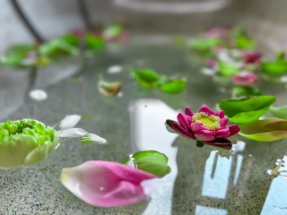 palmery boutique and spa