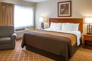 comfort inn cockatoo near lax airport