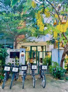 okra hoian homestay