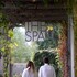 hotel healdsburg