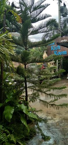 the rich room