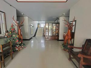 the rich room