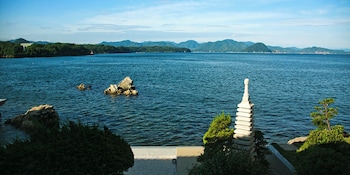 hagi