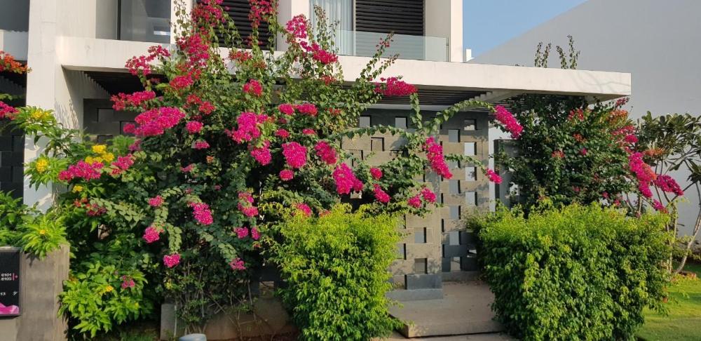 oceanami resort long hai vung tau gia tot