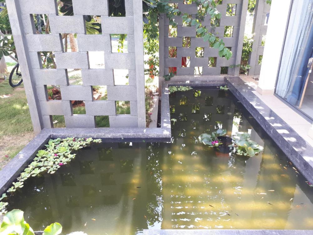 oceanami resort long hai vung tau gia tot