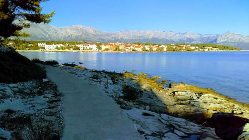 apartments and pension ivan