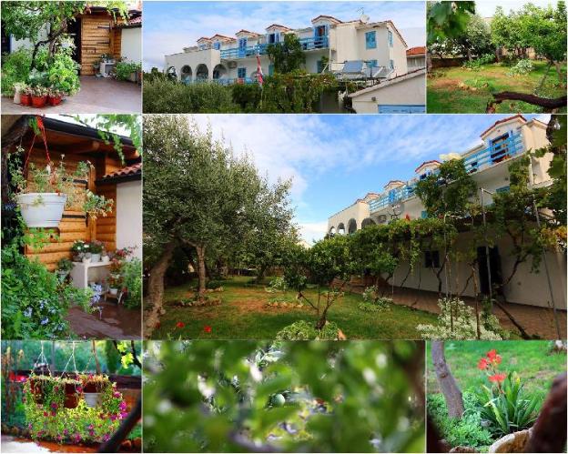 apartments and pension ivan