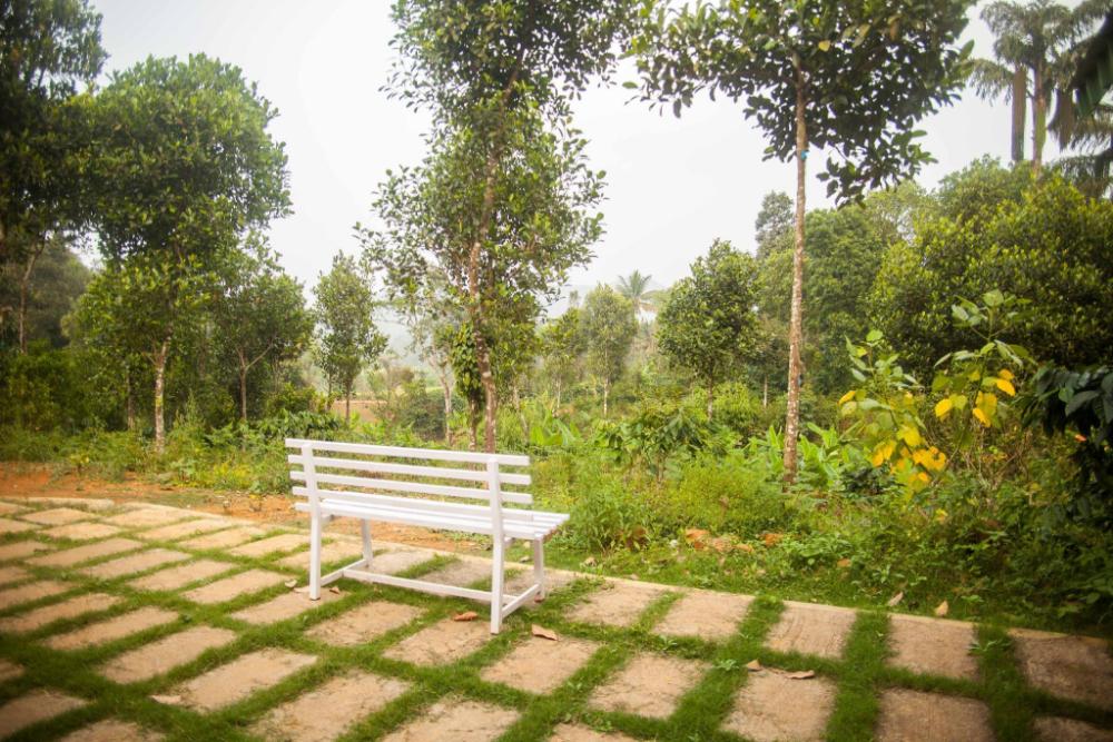 yedamakky plantations