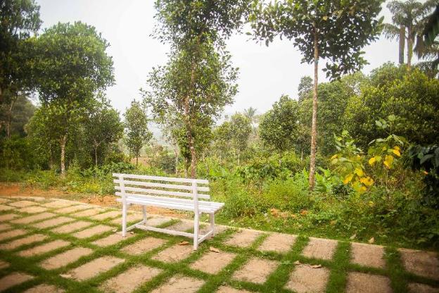 yedamakky plantations