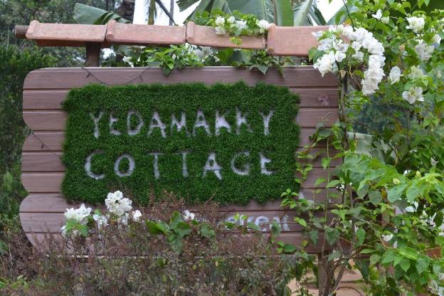 yedamakky plantations