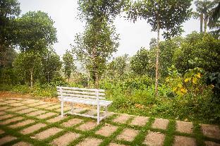 yedamakky plantations