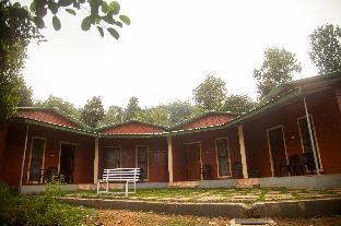 yedamakky plantations